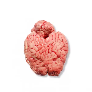 مغز گوسفندی